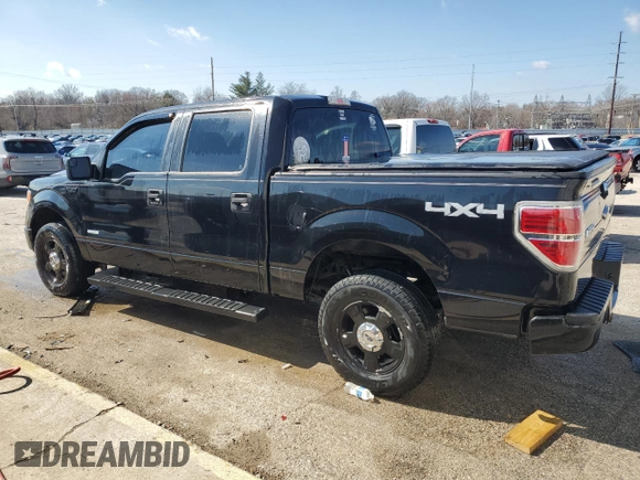 2013 Ford F-150 XL with VIN 1FTFW1ETXDFA61957, listed as a Copart auction lot 46628685 with 186,266 mi miles and Non Repairable. Bid and sale history available at carsss.com. Image 2.
