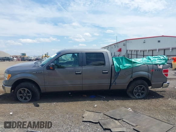 2010 Ford F-150 XL with VIN 1FTFW1EV3AFD14579, listed as a IAAI auction lot 42598587 with 196,758 mi miles and . Bid and sale history available at DreamBid. Image 14.