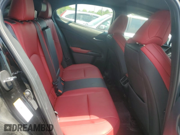 2019 Lexus UX 250h with VIN JTHU9JBH2K2014259, listed as a Copart auction lot 59742055 with 48,788 mi miles and Salvage title. Bid and sale history available at DreamBid. Image 10.