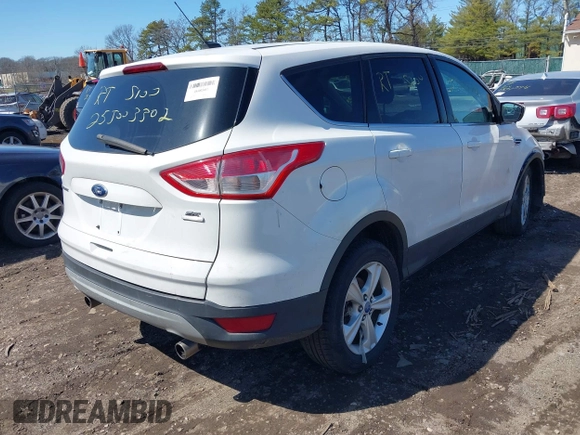 2013 Ford Escape SE with VIN 1FMCU9GX6DUA61596, listed as a IAAI auction lot 41924999 with Not Provided miles and . Bid and sale history available at DreamBid. Image 4.