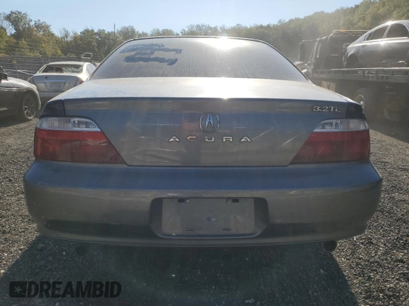 2003 Acura TL with VIN 19UUA56673A058419, listed as a Copart auction lot 76680224 with 98,957 mi miles and Salvage Title. Bid and sale history available at carsss.com. Image 6.