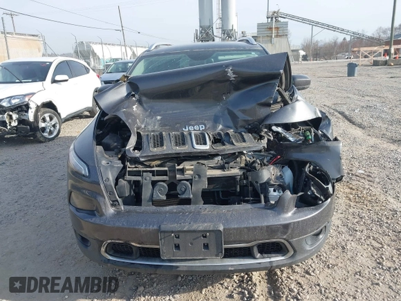 2016 Jeep Cherokee Limited z VIN 1C4PJLDB1GW272654, wystawiony jako IAAI lot #41793549 z przebiegiem Nie podano mil oraz . Historia ofert i sprzedaży dostępna na DreamBid. Obrazek 12.