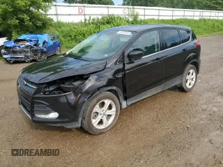 2013 Ford Escape SE with VIN 1FMCU9GX2DUB38657, listed as a Copart auction lot 63438765 with 124,142 mi miles and Clean title. Bid and sale history available at DreamBid. Image 1.