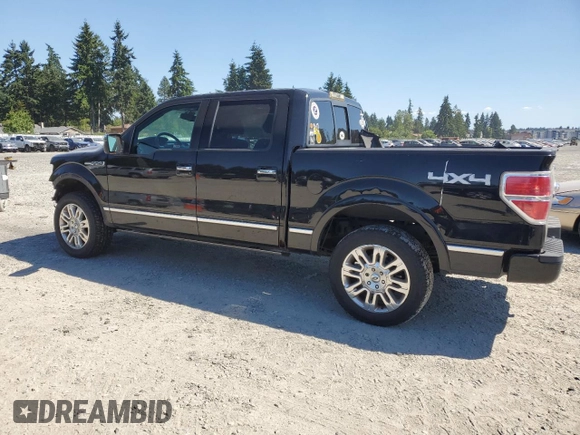 2009 Ford F-150 XL with VIN 1FTPW14V59FA44112, listed as a Copart auction lot 63436815 with 255,464 mi miles and Salvage title. Bid and sale history available at DreamBid. Image 2.