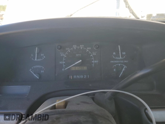 1995 Ford F-150 with VIN 1FTEX15N1SKB74596, listed as a Copart auction lot 73388284 with 310,129 mi miles and Salvage Title. Bid and sale history available at carsss.com. Image 9.