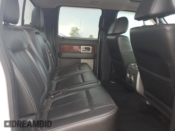 2010 Ford F-150 XL с VIN 1FTFW1EV5AFD06127, выставлен на аукционе Copart как лот 61405025 с пробегом 382 487 миль миль и Чистый • Clean title. История ставок и продаж доступна на DreamBid. Изображение 10.