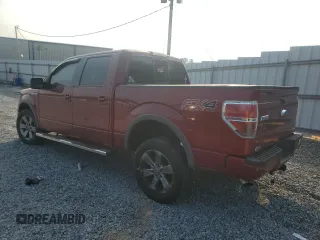 2013 Ford F-150 XL with VIN 1FTFW1EF6DFB42092, listed as a Copart auction lot 64245525 with Not provided miles and Salvage title. Bid and sale history available at DreamBid. Image 2.