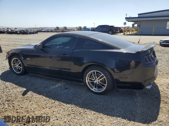 2013 Ford Mustang GT with VIN 1ZVBP8CF0D5224264, listed as a Copart auction lot 57143505 with 116,804 mi miles and Clean Title. Bid and sale history available at DreamBid. Image 2.