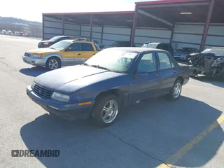 1996 Chevrolet Corsica z VIN 1G1LD5544TY236062, wystawiony jako IAAI lot #41806175 z przebiegiem 171 137 mil mil oraz . Historia ofert i sprzedaży dostępna na DreamBid. Obrazek 2.