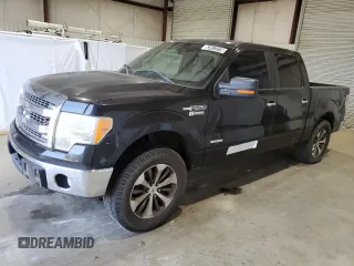2013 Ford F-150 XL with VIN 1FTFW1CT0DKD05738, listed as a Copart auction lot 52412215 with 253,949 mi miles and Clean Title. Bid and sale history available at carsss.com. Image 1.