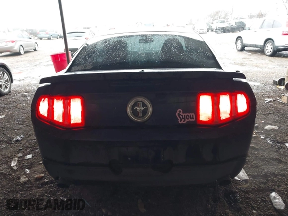 2011 Ford Mustang V6 with VIN 1ZVBP8AM9B5153645, listed as a IAAI auction lot 41304583 with 123,204 mi miles and . Bid and sale history available at carsss.com. Image 16.