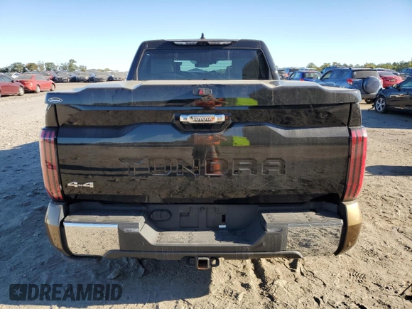 2022 Toyota Tundra 1794 Edition with VIN 5TFMA5DB6NX009193, listed as a Copart auction lot 74429534 with 49,570 mi miles and Salvage title. Bid and sale history available at DreamBid. Image 6.