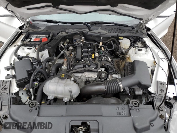 2021 Ford Mustang EcoBoost with VIN 1FA6P8TH7M5116896, listed as a Copart auction lot 38178004 with 36,035 mi miles and Salvage title. Bid and sale history available at DreamBid. Image 11.