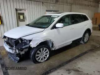 2009 Mazda CX-9 Touring with VIN JM3TB38V990174727, listed as a Copart auction lot 54145625 with 161,211 mi miles and Salvage Title. Bid and sale history available at DreamBid. Image 1.