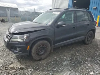 2014 Volkswagen Tiguan S with VIN WVGHV3AX7EW620071, listed as a Copart auction lot 61447955 with 252,940 mi miles and Salvage title. Bid and sale history available at DreamBid. Image 1.