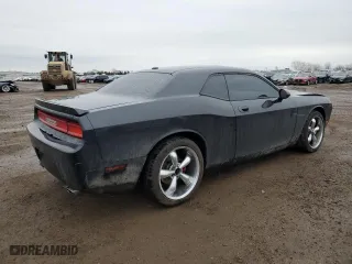 2010 Dodge Challenger R/T with VIN 2B3CJ5DT2AH122661, listed as a Copart auction lot 46820555 with 119,935 mi miles and Salvage Title. Bid and sale history available at carsss.com. Image 3.