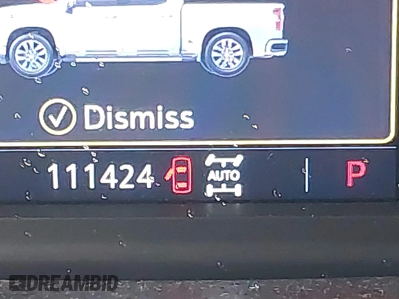 2020 Chevrolet Silverado 1500 LT Trail Boss with VIN 3GCPYFEL2LG319140, listed as a IAAI auction lot 41475510 with 111,424 mi miles. Bid and sale history available at carsss.com. Image 15.