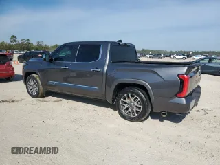 2023 Toyota Tundra 1794 Edition with VIN 5TFMA5AB1PX020609, listed as a Copart auction lot 78865424 with Not provided miles and Non repairable. Bid and sale history available at DreamBid. Image 2.