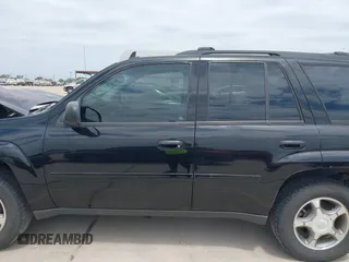 2009 Chevrolet TrailBlazer 1LT with VIN 1GNDS33S692131369, listed as a IAAI auction lot 42036301 with 249,593 mi miles and . Bid and sale history available at DreamBid. Image 15.