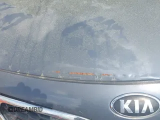 2014 Kia Forte EX with VIN KNAFZ4A89E5076447, listed as a IAAI auction lot 41913489 with 219,823 mi miles. Bid and sale history available at carsss.com. Image 6.