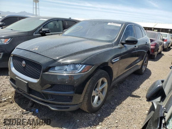 2019 Jaguar F-Pace 25t with VIN SADCS2FX9KA601836, listed as a Copart auction lot 56493255 with 80,825 mi miles and Salvage title. Bid and sale history available at DreamBid. Image 1.