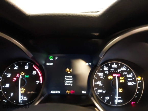 2020 Alfa Romeo Stelvio Sport with VIN ZASPAKAN7L7C97725, listed as a IAAI auction lot 41627878 with 43,523 mi miles. Bid and sale history available at carsss.com. Image 7.