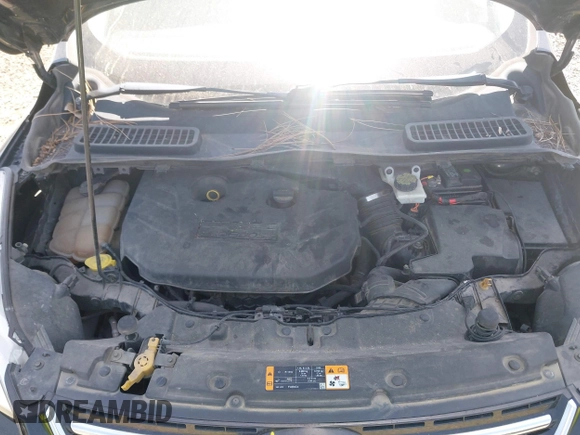 2013 Ford Escape SEL с VIN 1FMCU0H91DUC47557, выставлен на аукционе IAAI как лот 42361844 с пробегом 162 760 миль миль и . История ставок и продаж доступна на DreamBid. Изображение 10.