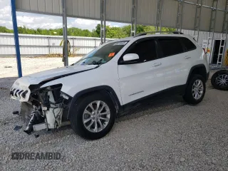 2020 Jeep Cherokee Latitude with VIN 1C4PJMCB9LD572729, listed as a Copart auction lot 56819485 with 124,268 mi miles and Salvage title. Bid and sale history available at DreamBid. Image 1.