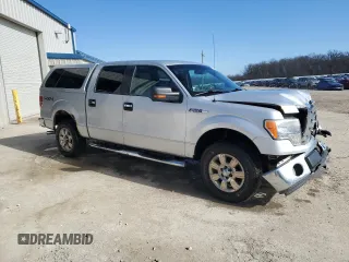 2009 Ford F-150 XL with VIN 1FTRW14819FB41374, listed as a Copart auction lot 50144435 with 110,685 mi miles and Non Repairable. Bid and sale history available at carsss.com. Image 4.