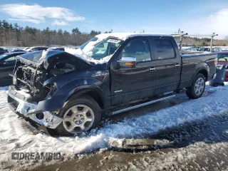 2014 Ford F-150 XL with VIN 1FTFW1ET9EFB72484, listed as a Copart auction lot 46897505 with 0 mi miles and Salvage Title. Bid and sale history available at carsss.com. Image 1.