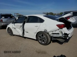 2019 Kia Forte LXS with VIN 3KPF24AD2KE129932, listed as a Copart auction lot 50815795 with 57,384 mi miles and Salvage Title. Bid and sale history available at carsss.com. Image 2.