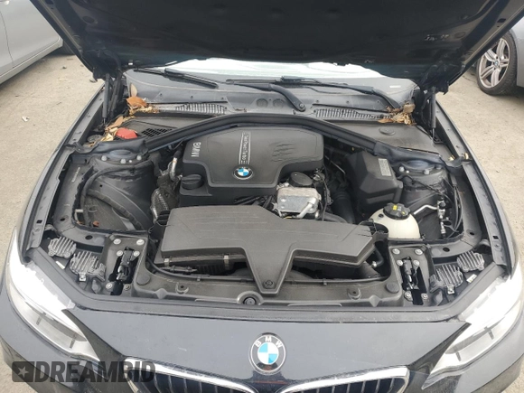 2016 BMW 2 Series 228i with VIN WBA1F9C57GV544925, listed as a Copart auction lot 44940625 with 54,982 mi miles and Salvage Title. Bid and sale history available at DreamBid. Image 11.