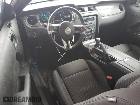 2013 Ford Mustang GT with VIN 1ZVBP8CF7D5242292, listed as a Copart auction lot 50411825 with 35,821 mi miles and Clean Title. Bid and sale history available at carsss.com. Image 8.
