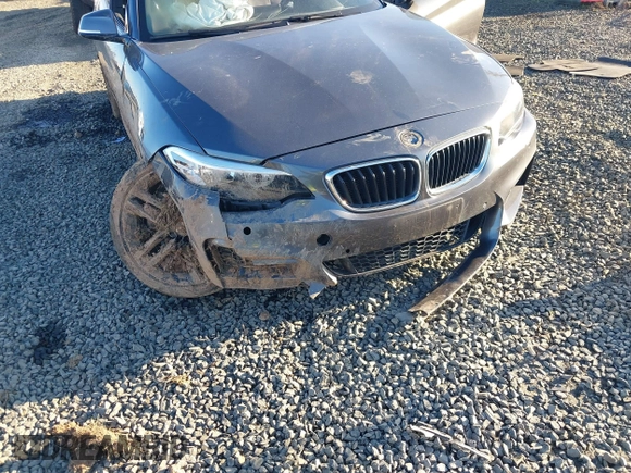 2016 BMW 2 Series 228i z VIN WBA1F9C52GV545125, wystawiony jako IAAI lot #41692429 z przebiegiem 89 183 mil mil oraz . Historia ofert i sprzedaży dostępna na DreamBid. Obrazek 6.