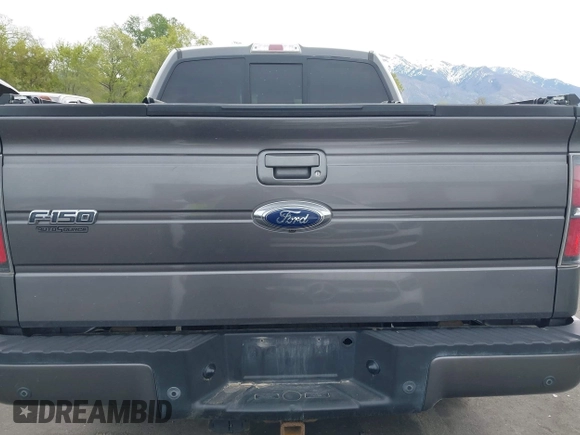 2012 Ford F-150 XL with VIN 1FTFW1ET4CKE20984, listed as a IAAI auction lot 42095203 with 168,879 mi miles and . Bid and sale history available at DreamBid. Image 17.