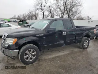 2013 Ford F-150 XL with VIN 1FTEX1EM3DFA07577, listed as a Copart auction lot 44247345 with 324,437 mi miles and Salvage title. Bid and sale history available at DreamBid. Image 1.