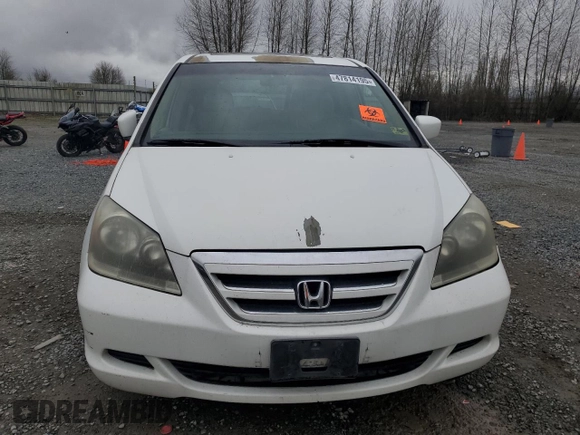 2005 Honda Odyssey EX-L with VIN 5FNRL38655B000691, listed as a Copart auction lot 47814195 with 233,384 mi miles and Clean Title. Bid and sale history available at carsss.com. Image 5.