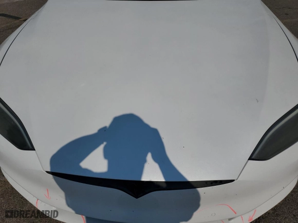 2020 Tesla Model S Performance with VIN 5YJSA1E42LF379600, listed as a Copart auction lot 70631144 with NaN miles and Salvage Title. Bid and sale history available at carsss.com. Image 11.