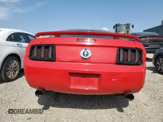 2006 Ford Mustang Standard with VIN 1ZVFT80N865131486, listed as a Copart auction lot 62031945 with Not provided miles and Salvage title. Bid and sale history available at DreamBid. Image 6.
