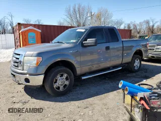 2011 Ford F-150 XL with VIN 1FTFX1EF6BFA23355, listed as a Copart auction lot 49699525 with 206,755 mi miles and Clean Title. Bid and sale history available at DreamBid. Image 1.