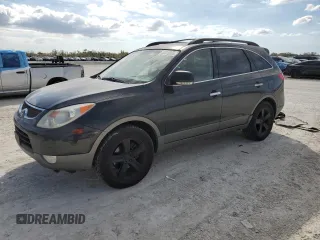 2007 Hyundai Veracruz GLS with VIN KM8NU13C17U019435, listed as a Copart auction lot 42826955 with 230,635 mi miles and Salvage Title. Bid and sale history available at DreamBid. Image 1.
