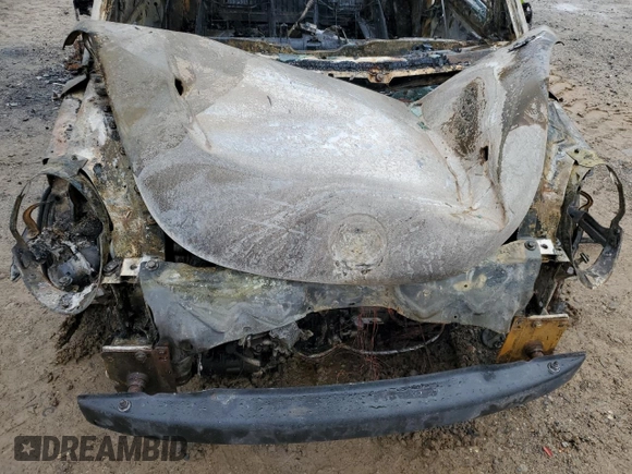 2009 Volkswagen Beetle S with VIN 3VWPW31C79M501529, listed as a Copart auction lot 56184265 with Not provided miles and Salvage title. Bid and sale history available at DreamBid. Image 11.