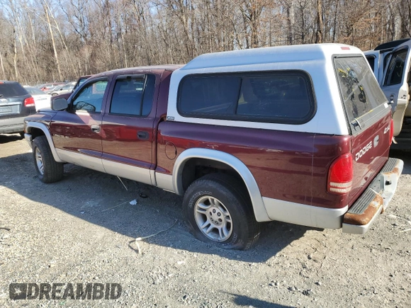 2002 Dodge Dakota SLT with VIN 1B7HG48N82S536711, listed as a Copart auction lot 48142485 with 0 mi miles and Salvage Title. Bid and sale history available at carsss.com. Image 2.