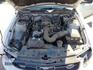 2007 Ford Mustang Deluxe with VIN 1ZVFT80N875283866, listed as a Copart auction lot 50806135 with 99,858 mi miles and Salvage Title. Bid and sale history available at carsss.com. Image 11.