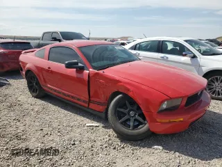 2006 Ford Mustang Standard with VIN 1ZVFT80N865131486, listed as a Copart auction lot 62031945 with Not provided miles and Salvage title. Bid and sale history available at DreamBid. Image 4.