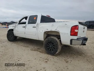 2009 Chevrolet Silverado 1500 LT with VIN 2GCEC23C191139697, listed as a Copart auction lot 88074455 with 243,119 mi miles and Salvage Title. Bid and sale history available at carsss.com. Image 2.