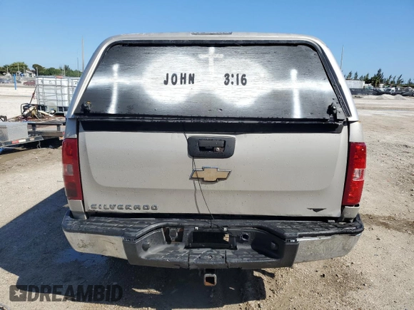 2008 Chevrolet Silverado 1500 Work Truck with VIN 1GCEC14X68Z313202, listed as a Copart auction lot 49251375 with 0 mi miles and Non Repairable. Bid and sale history available at carsss.com. Image 6.