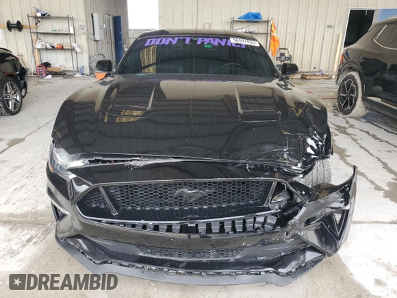 2023 Ford Mustang GT with VIN 1FA6P8CF4P5306612, listed as a Copart auction lot 56597835 with 15,216 mi miles and Salvage title. Bid and sale history available at DreamBid. Image 5.