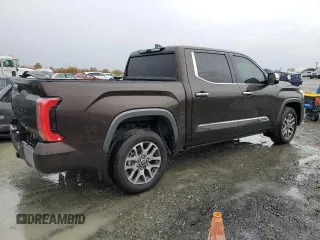 2022 Toyota Tundra 1794 Edition with VIN 5TFMA5DB5NX048356, listed as a Copart auction lot 81753004 with 17,077 mi miles and Salvage title. Bid and sale history available at DreamBid. Image 3.