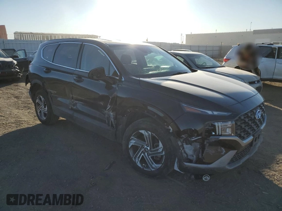 2021 Hyundai Santa Fe SE with VIN 5NMS1DAJXMH329833, listed as a Copart auction lot 42905865 with 116,308 mi miles and Salvage Title. Bid and sale history available at carsss.com. Image 4.